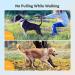 Dog Prong Collar Choke Collar for Dogs Pinch Training Collar Detachable Adjustable Choke Collar with Comfort Rubber Tips Metal Adjustable Large Middle Dog Pet Pinch Collar (A XL) A XL - Buy Online on GoSupps.com