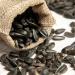 5kg Black Sunflower Seeds Wild Bird Food Sunflowers in Bucket (5kg) - Buy Online on GoSupps.com