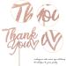 1 Pack Thank You Cake Toppers Glitter Thank You Cake Picks Thanksgiving Day Cupcake Decorations Wedding Anniversary Birthday Party Cupcake Decorations Rose Gold 4-rose Gold - Buy Online on GoSupps.com