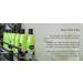 ShiKai Borage Therapy Advanced Formula Lotion - Fragrance Free, 16 Fl Oz - Buy Online on GoSupps.com