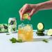 Roy Cucumber & Mint Kombucha Bio - Organic Vegan & Gluten-Free 12 x 330ml - Handmade in Berlin - Buy Online on GoSupps.com
