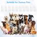 10 Pcs Dog Toothbrush Finger 360 Full Surrounded Dog Finger Toothbrush Soft Washable Finger Toothbrush Dog Teeth Cleaning Toothbrush for Dogs Cats Puppies Dental Care - Buy Online on GoSupps.com