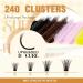 Colored Lash Clusters - Fluffy 80D Wispy Eyelashes for Beginners | 240pcs D Curl 10-16mm - International Shipping Available - Buy Online on GoSupps.com