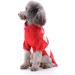 Christmas Dog Sweater - Cozy Turtleneck Knitwear for Puppies | Snowflake Pattern Pet Gift - Buy Online on GoSupps.com