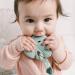 Loulou Lollipop Silicone Teether for Teething Baby - Monstera Seafoam | Gender Neutral Teething Toy - Buy Online on GoSupps.com
