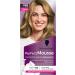 Schwarzkopf - Perfect Mousse - Hair Color - Permanent Mousse without Ammonia - Care Mask 96% ingredients of natural origin - Blonde 800 1 Unit (Pack of 1) - Buy Online on GoSupps.com
