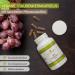 Vitacare OPC Grape Seed Extract - 60 High-Dose Antioxidant Capsules 450mg Natural Pure OPC Powder - Buy Online on GoSupps.com