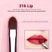 Jessup Lip Brush Set Professional Lip Makeup Brushes for Streak-Free Application | 5 Premium Synthetic Brushes for Contouring & Defining Lips - Buy Online on GoSupps.com