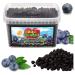 Bite & Delight 300g Crunchy Delicious and Healthy Freeze Dried Blueberries Ideal for a Snack or Balanced Diet Bucket