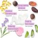 Tree to Tub Shea Butter Hand Cream for Dry Cracked Hands - Moisturizing Vegan Lotion with Organic Cocoa & Aloe Vera - Natural Lavender Scent for Women & Men - Buy Online on GoSupps.com