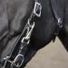 Solibel Trekking Bridle Black - Stainless Steel Thoroughbred Fit | International Shipping Available - Buy Online on GoSupps.com