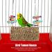 Durable Bird Grass Woven Swing with Hooks - Fun Chew Toys for Parrots Budgies Lovebirds & Finches - Ideal Bird Cage Accessory - Buy Online on GoSupps.com