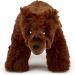 Zappi Co Ultra Soft Grizzly Bear Plush Toy (21cm) - Eco-Friendly Newborn Gift - Buy Online on GoSupps.com