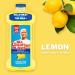 Mr. Clean Antibacterial Multi Surface Cleaner with Summer Citrus Scent Disinfectant All Purpose Cleaner 680 mL - Buy Online on GoSupps.com