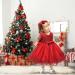 LZH Baby Girls Lace Dress 6-12 Months Red - Flower Baptism Christening Tutu Gown - Buy Online on GoSupps.com