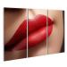 islandburner Image on Canvas Cosmetics Makeup Gloss Lipstick On Lips Closeup of Beautiful Female Mouth with Red and Pink Lip Makeup Part Of Face Wall Living Room Home Office Poster Images GBEN-3Px