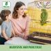 6-Piece Handmade Hanging Toy Set for Small Animals - Sugar Glider, Squirrel, Parrot - Cage Accessories for Climbing and Exercise - 22.5 Inch - Buy Online on GoSupps.com