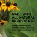 Eucalyptus Natural Deodorant Stick | Aluminum & Preservative Free | 2.5oz | Best International Shipping - Buy Online on GoSupps.com