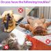Inscape Data Cat Spray Deterrent - Anti-Scratch Training Spray for Indoor & Outdoor Use - Buy Online on GoSupps.com