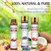 Migcaput 8x10ml Essential Oils Set - 100% Natural Aromatherapy Oils for Diffusers & Massage | Fruity Scents: Strawberry Blueberry Cherry Coconut - Buy Online on GoSupps.com