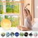 Baozily Light Alarm Clock Sunrise Sunset Simulation Double Alarms Snooze FM Radio & 11 Color Options Wake Up Naturally! - Buy Online on GoSupps.com