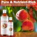 Plant Guru Peach Kernel Oil 8 fl. oz. Cold Pressed 100% Pure & Natural Carrier Ideal for Skin Face Body and Hair Moisturizer. Great for DIY Creams Lotions and Lip Balms. - Buy Online on GoSupps.com