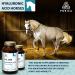 Purica Equine Recovery Supplement - Hyaluronic Acid for Horses Vitamin C Joint Support - Horse Supplements for Recovery and Joint Health - 330g 330 g (Pack of 1) - Buy Online on GoSupps.com