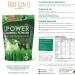 NGU Super Greens Powder 150g: Vegan Clean Detox Superfood | Antioxidant Immune Support Supplement with Vitamin C, A, Calcium & Potassium - Buy Online on GoSupps.com