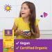 Annies Vegan Mac and Cheddar Flavor Dinner - Organic Pasta, Vegan Alternative to Kids Macaroni and Cheese - 6 OZ (Pack of 12) - Buy Online on GoSupps.com