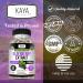 Kaya Naturals Elderberry Immune Support - Elderberry Extract Rich Antioxidant Premium Vitamins 1200mg Immune System Booster Sambucus Capsules - 30 Count 30 Count (Pack of 1) - Buy Online on GoSupps.com