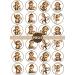 PRECUT Monkey Edible Cupcake Toppers - Cute Monkey Theme Premium Thickness SWEETENED VANILLA - wafer card disc cake decorations (Pack of 24) - Buy Online on GoSupps.com