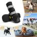 Anti-Slip Dog Shoes - Waterproof & Reflective Straps | Wear-Resistant Leather & Rubber Sole | XL Black | 4-Pack for Small Medium & Large Dogs - Buy Online on GoSupps.com