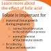 Now Foods Folic Acid 800mcg - 250 Vegan Tablets | Lab-Tested High Dose Vitamin B12 | Gluten & SOYA Free | Vegetarian - Buy Online on GoSupps.com
