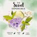 Herbal Essences Sheer Moisture Conditioner - Cucumber & Green Tea 13.5 fl oz | Hydrating Hair Care - Buy Online on GoSupps.com
