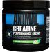 Universal Nutrition Animal Creatine Chews (Green Apple) with 5G creatine monohydrates & sea salt: easily absorbable creatine for maximum recording pump & training increase 120 chewing tablets green apple