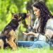 Heele Dog Muzzle with Head Belt | Comfortable & Secure Dog Muzzle for Training & Safety - Fast International Shipping - Buy Online on GoSupps.com