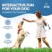 Fur & Bone 10 Pack Dog Rope Toy Dog Chew Toys for Aggressive Chewers - Cotton Puppy Toys | Dog Toys Indestructible for Dog Chews | Dog Toy Indestructible Dog Toys Dog Accessories Chew Toys for Dogs - Buy Online on GoSupps.com