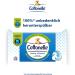 Buy Cottonelle Moist Toilet Paper - Biodegradable Wet Wipes with Cotton Fragrance | 12x42 Pack - Clean & Nourishing | International Shipping Available - Buy Online on GoSupps.com