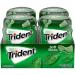 Trident Unwrapped Spearmint Sugar Free Gum  4 Bottles of 50 Pieces (200 Total Pieces) Spearmint 50 Count (Pack of 4) - Buy Online on GoSupps.com