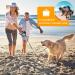 WOT I Retractable Dog Lead 8M Extendable Dog Lead with LED Flashlight for Medium Large Dogs up to 50kg with Button Break&Lock System Comfortable Ergonomic Hand Grip Waste Dispenser Bags Included - Buy Online on GoSupps.com