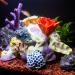 TAOMYPETS Coral Decor for Aquariums | Premium Resin Coral Reef Ornaments for Fish Tanks - Buy Online on GoSupps.com