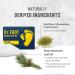 JJBIO Dr. FOOT Natural Soap Bar | FDA Registered | Foot Deodorant | Pine Tree Scent | 3.88 Oz - Buy Online on GoSupps.com