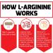 Force Factor L-Arginine 3000mg 2-Pack Nitric Oxide Supplement - 300 Capsules for Muscle Building and Blood Flow Support - Buy Online on GoSupps.com
