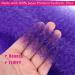 Springy Afro Twist Hair 28 Inch Cuban Twist Hair 3 Packs Marley Twist Braiding Hair Pre-separated Spring Twist Hair Wrapping Hair for Soft Locs Cuban Twist Crochet Hair for Women (28Inch-3Pcs-Purple) - Buy Online on GoSupps.com