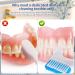 Annhua 2 Denture Brush - Double Sided Soft Bristles for Denture Cleaning and Retainers - Invisible Braces - Buy Online on GoSupps.com
