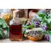 Herbnaturalia Comfrey Tooth Essence - Sage Infused 30ml Concentrated Comfrey Root for Optimal Oral Care - Buy Online on GoSupps.com