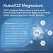NutraA2Z High Absorption 240mg Chelated Magnesium - 180 Capsules | Best Quality Supplement - Buy Online on GoSupps.com
