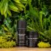 Buy MANE TAME Deluxe Pomade 3.3oz - Premium Hair Styling Product for All Hair Types | Fast International Shipping - Buy Online on GoSupps.com