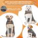 Microfiber Dog Bathrobe & Wader Coat - Extra Absorbent Fast Drying Towel with Adjustable Straps for All Sizes (Gray XS) - Buy Online on GoSupps.com