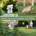 Indestructible Loud Dog Balls | Interactive Dog Toys | Divinggoe Green 3.46 Inch - Buy Online on GoSupps.com